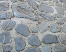Carmanah Cobbles
