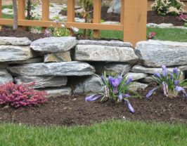 Ocean Pearl Wallstone