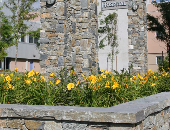 Exterior Stone Landscaping Features Hospital