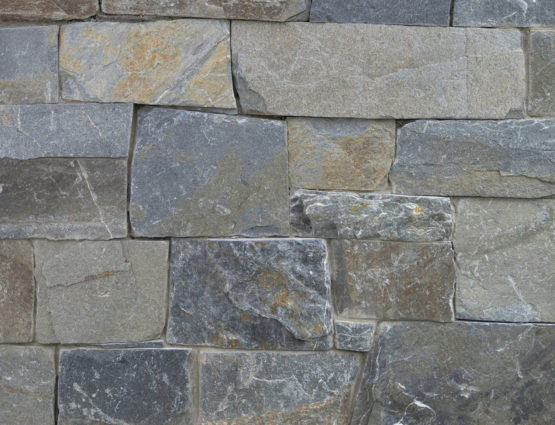 Arbutus Squares & Recs